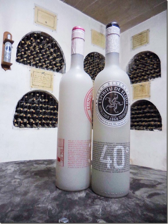 Pisco tasting in the Elqui valley